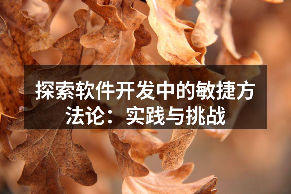 探索软件开发中的敏捷方法论：实践与挑战