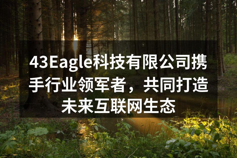 43Eagle科技有限公司携手行业领军者，共同打造未来互联网生态